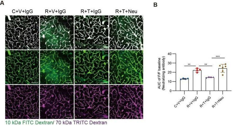 ��ҳ|ng������Ϸ�й����Źٷ���վ