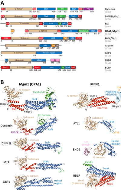 ��ҳ|ng������Ϸ�й����Źٷ���վ
