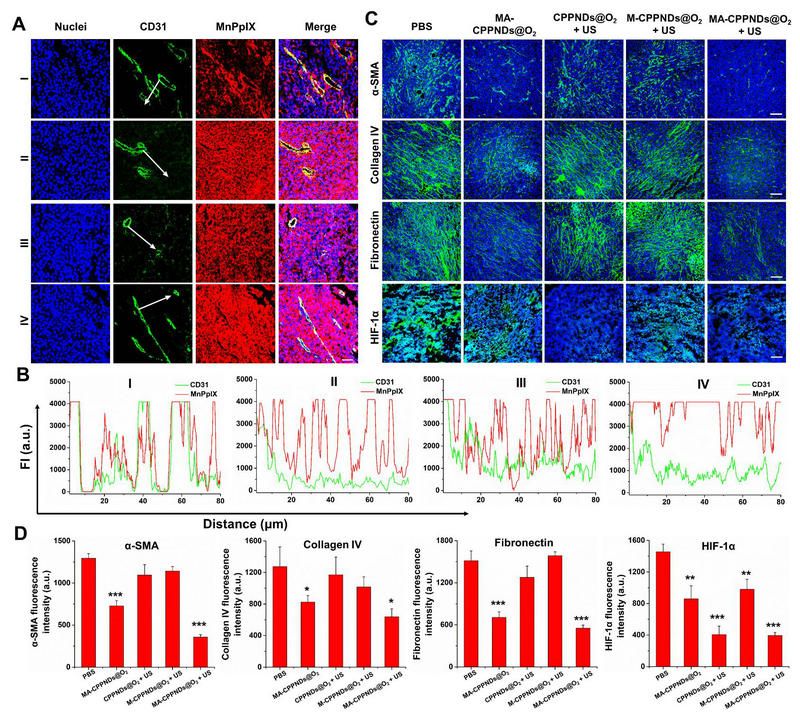 67A6B30ACF847B5F4BE495B17C1_D821079D_28619