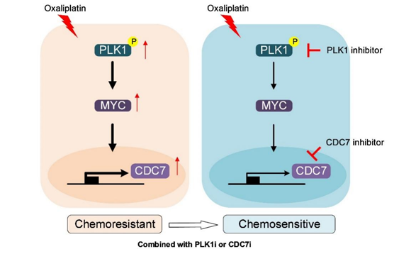 ��ҳ|ng������Ϸ�й����Źٷ���վ