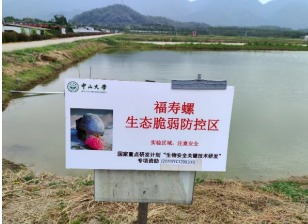 ��ҳ|ng������Ϸ�й����Źٷ���վ