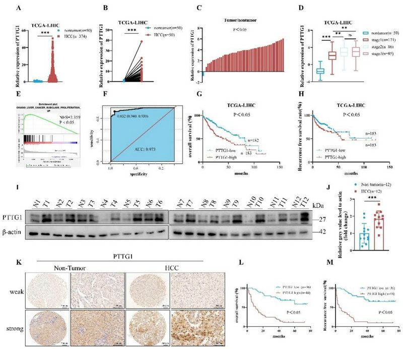 8CFD6A533FC57BCFF9BEE00FE8B_ED32952E_16947