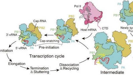 ��ҳ|ng������Ϸ�й����Źٷ���վ