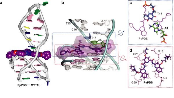 ��ҳ|ng������Ϸ�й����Źٷ���վ