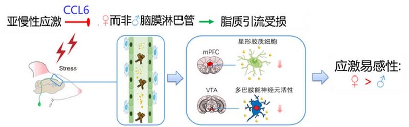 ��ҳ|ng������Ϸ�й����Źٷ���վ