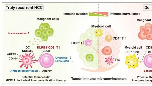 ��ҳ|ng������Ϸ�й����Źٷ���վ