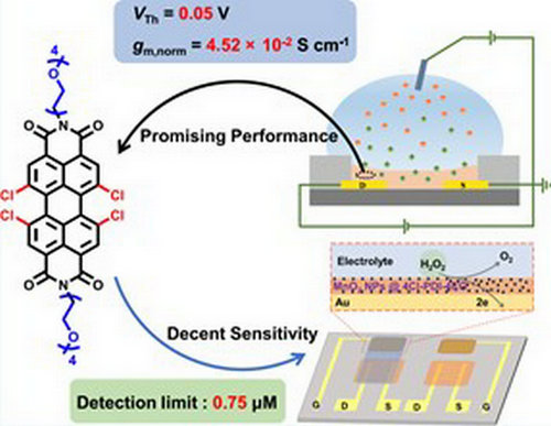 445CC32C0FC1DA5CCE179C012D0_0B00DB79_B11F 445CC32C0FC1DA5CCE179C012D0_0B00DB79_B11F