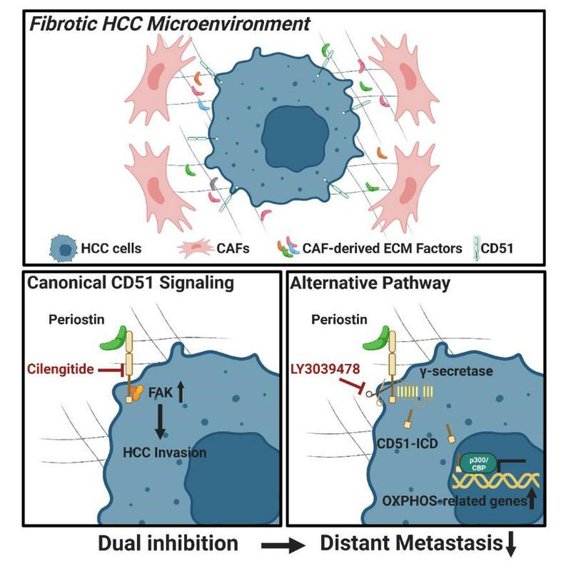 B3FB86801EADD54E04B1C5E953F_4A68D975_15771
