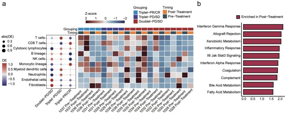 508B85D88037EB4F5DD1DD8C1A6_115608A9_19D71