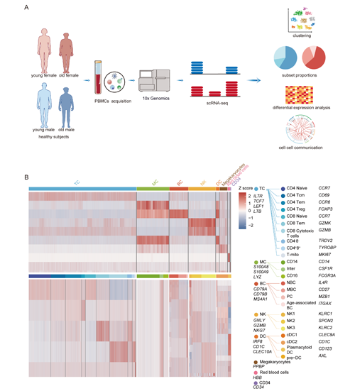 ��ҳ|ng������Ϸ�й����Źٷ���վ