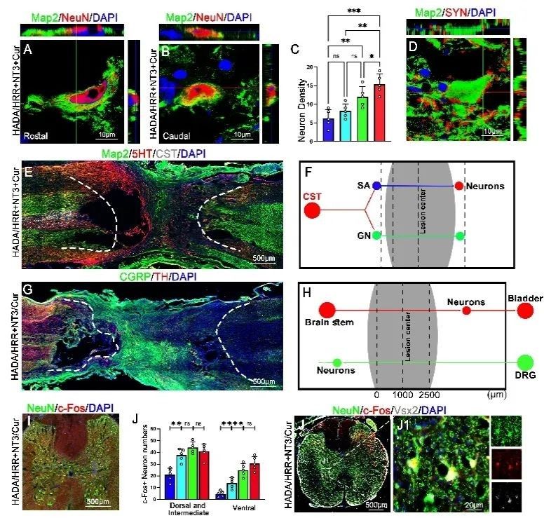 3E2B87E8261BFA71A98C1A5FF15_DE8EF3E1_25C67