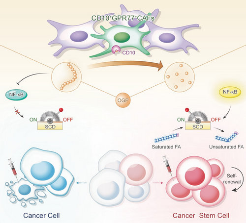 ��ҳ|ng������Ϸ�й����Źٷ���վ