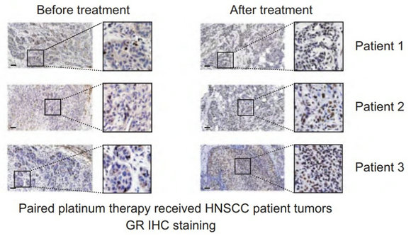 ��ҳ|ng������Ϸ�й����Źٷ���վ