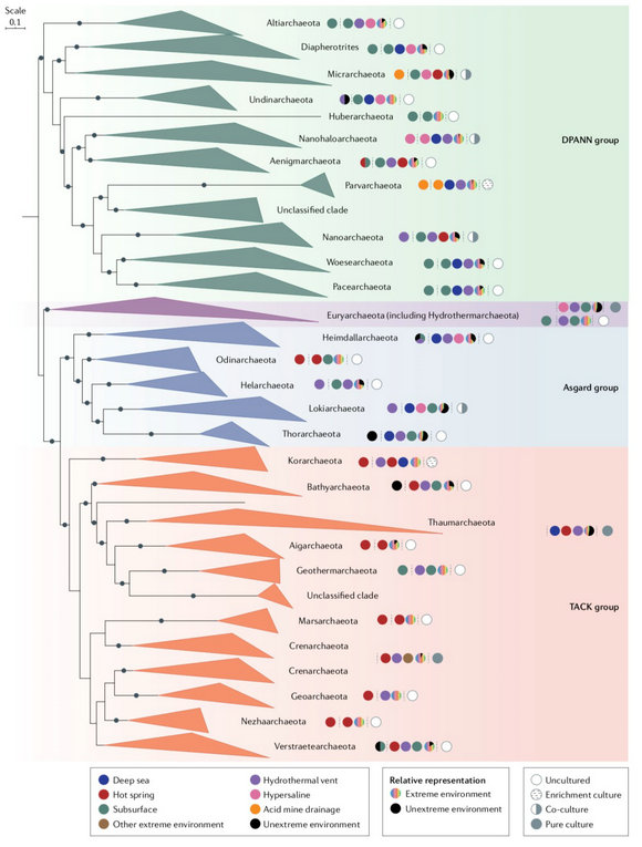E9BE316B53C35A8EB4C2B5CEB14_F0A445D9_155F3.jpg?e= Ê×Ò³|ngµç×ÓÓÎÏ·Öйú¼¯ÍŹٷ½ÍøÕ¾