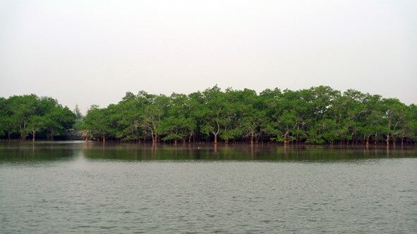 ��ҳ|ng������Ϸ�й����Źٷ���վ