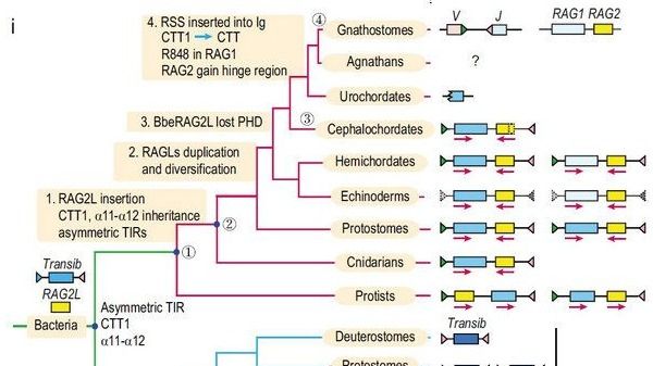 ��ҳ|ng������Ϸ�й����Źٷ���վ