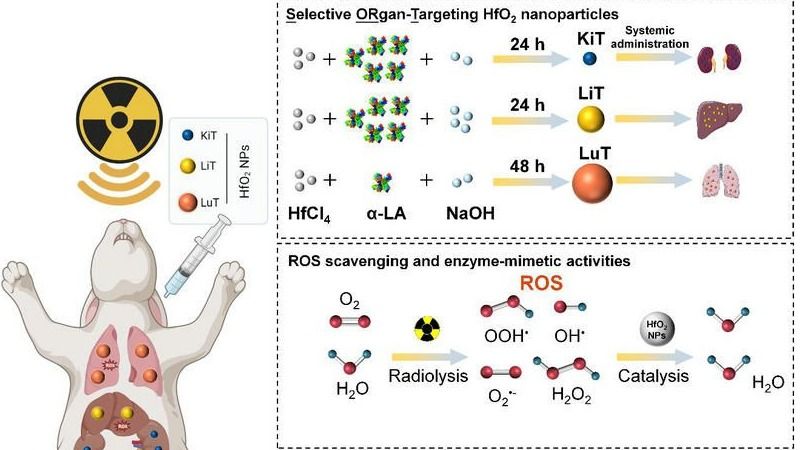 ��ҳ|ng������Ϸ�й����Źٷ���վ