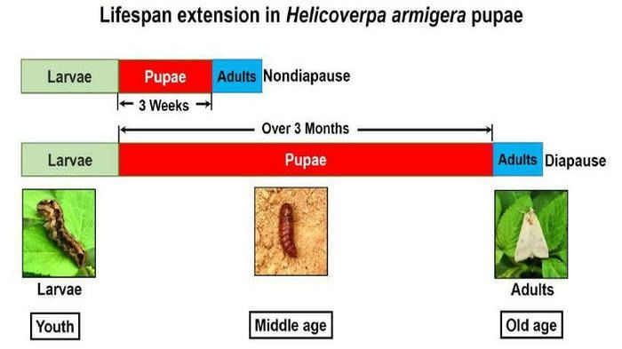 ��ҳ|ng������Ϸ�й����Źٷ���վ