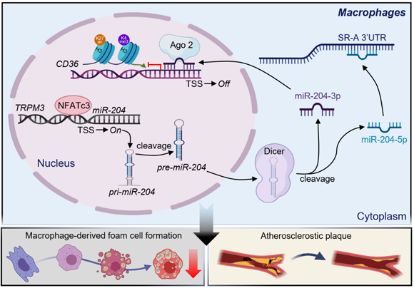��ҳ|ng������Ϸ�й����Źٷ���վ
