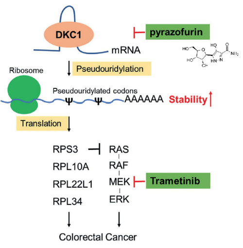 ��ҳ|ng������Ϸ�й����Źٷ���վ