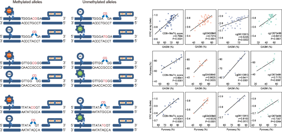 ��ҳ|ng������Ϸ�й����Źٷ���վ