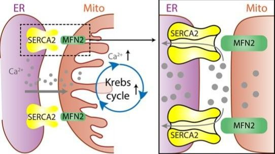 ��ҳ|ng������Ϸ�й����Źٷ���վ