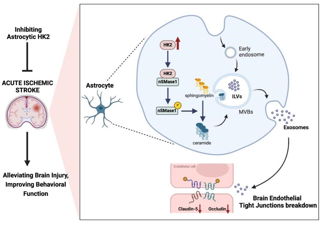 ��ҳ|ng������Ϸ�й����Źٷ���վ