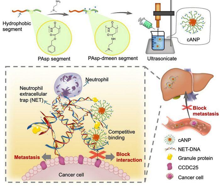 30FE7A4F5E589128EA6E09268CA_68C35AC8_12738