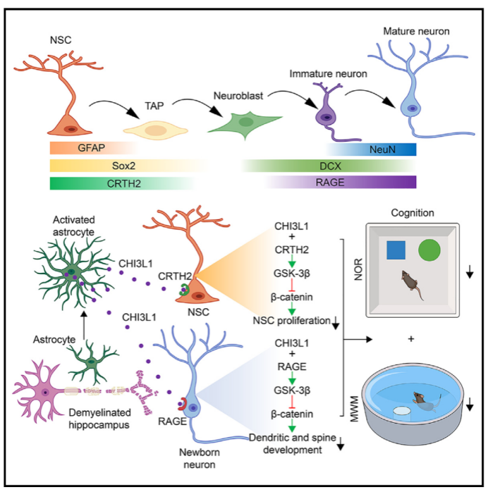 29C309FDD6F0E0993212530E329_73D41E08_42212