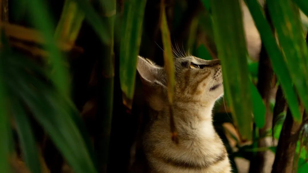 1C60B3A07EF077FE5CEF67E2519_6B8AE402_E0C7 ͼƬ