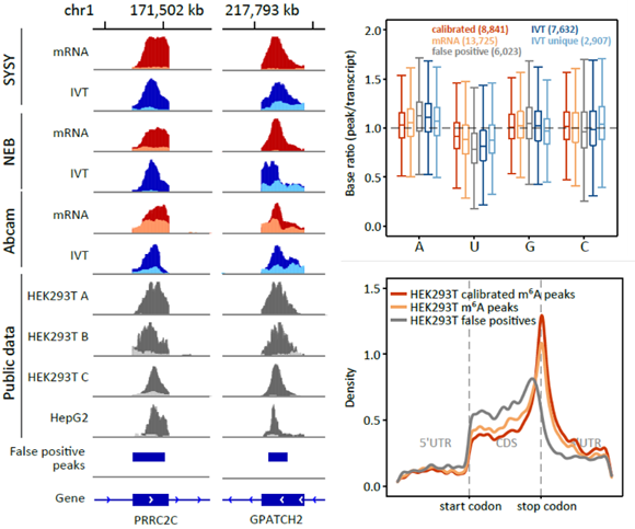 ��ҳ|ng������Ϸ�й����Źٷ���վ