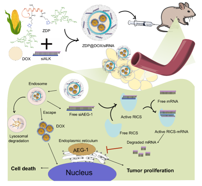 ��ҳ|ng������Ϸ�й����Źٷ���վ