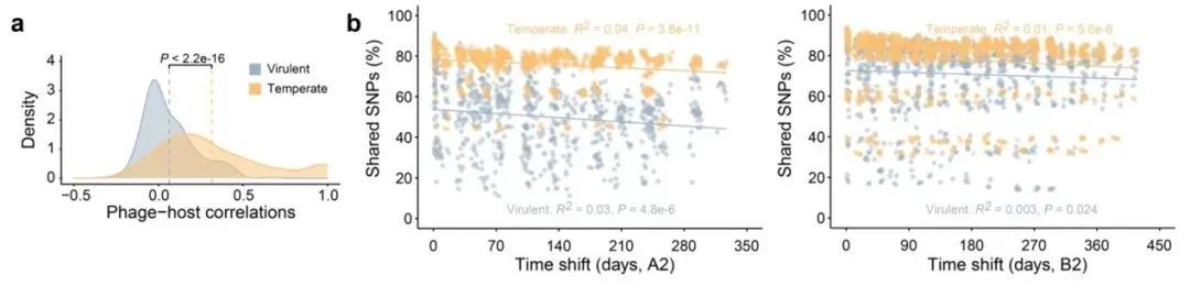 48DE5B0C2B8BFF94BBE97AF2D83_ADF7C800_8FE5