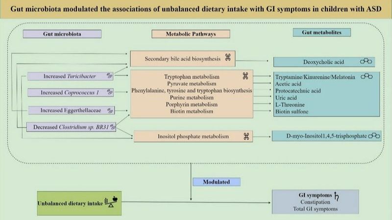 ��ҳ|ng������Ϸ�й����Źٷ���վ