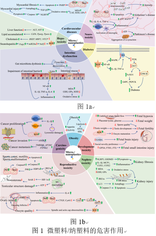 14D1D0F00A491A392E3A2C3CEF4_AE478B77_52436