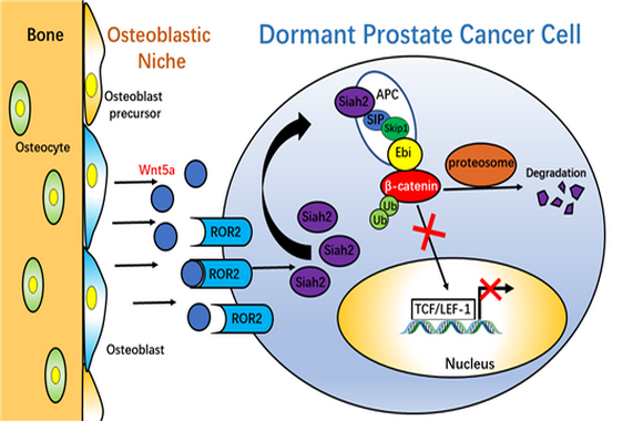 ��ҳ|ng������Ϸ�й����Źٷ���վ