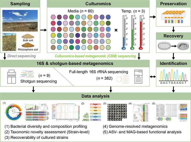 928728CCD6798A8A4B8F6C97591_F41ADEC2_1CFFB