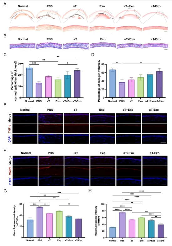 2EEA0695FC5DBA59DDE770FB329_6B698C4B_529E3