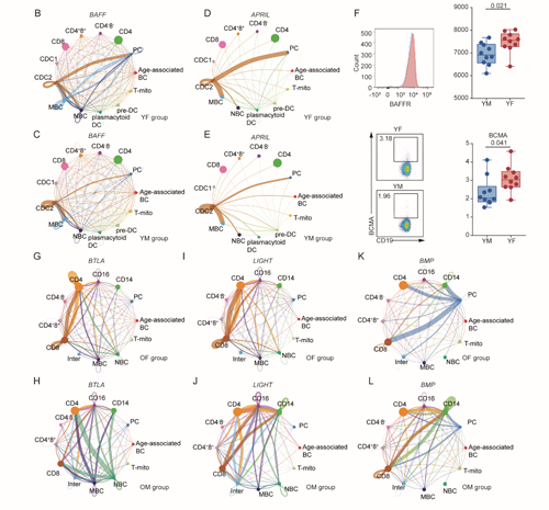 ��ҳ|ng������Ϸ�й����Źٷ���վ