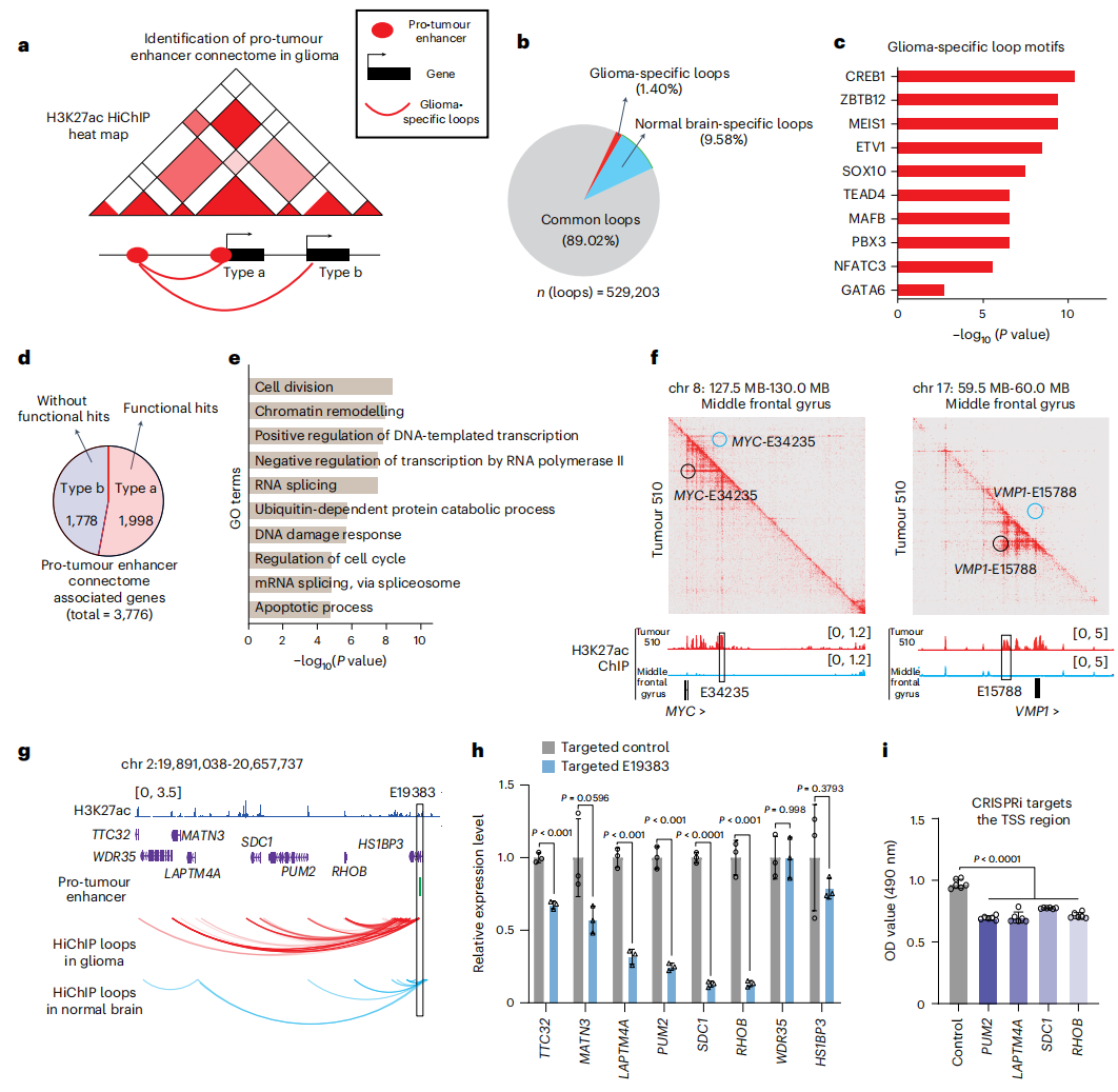 ��ҳ|ng������Ϸ�й����Źٷ���վ