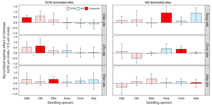 ��ҳ|ng������Ϸ�й����Źٷ���վ