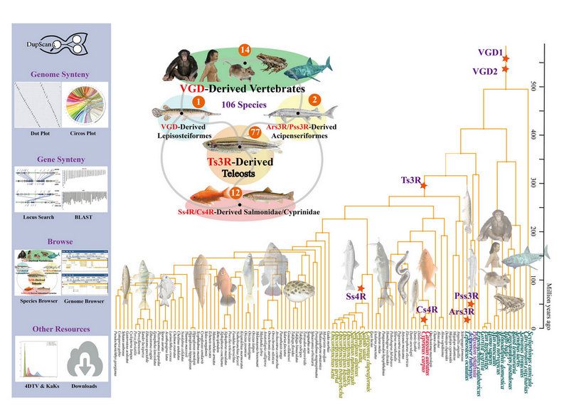 F52090832FA9140F7E0D3AD34FA_3C101506_1555C