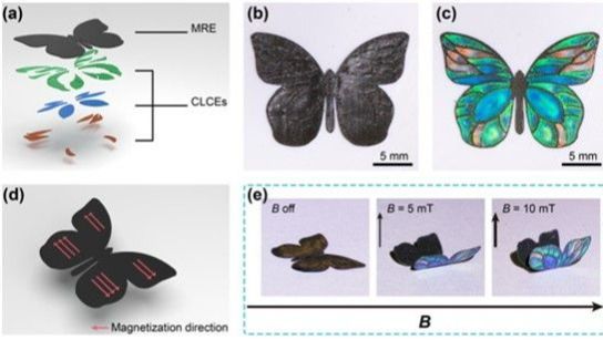 ��ҳ|ng������Ϸ�й����Źٷ���վ
