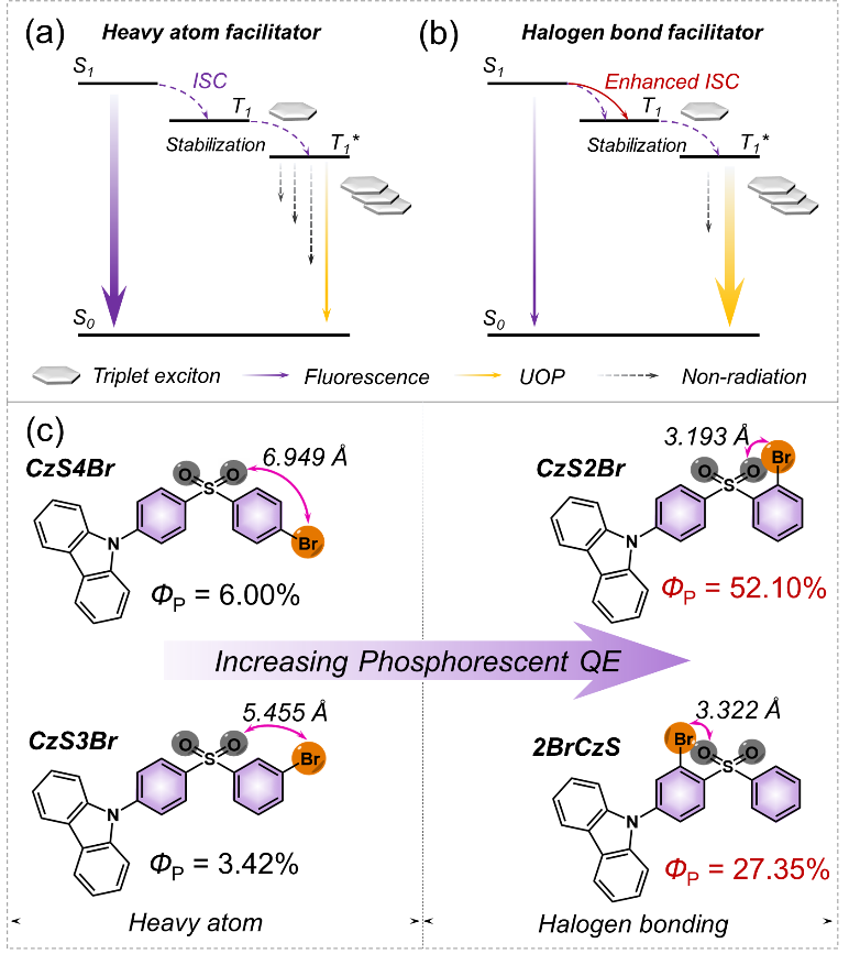 ��ҳ|ng������Ϸ�й����Źٷ���վ