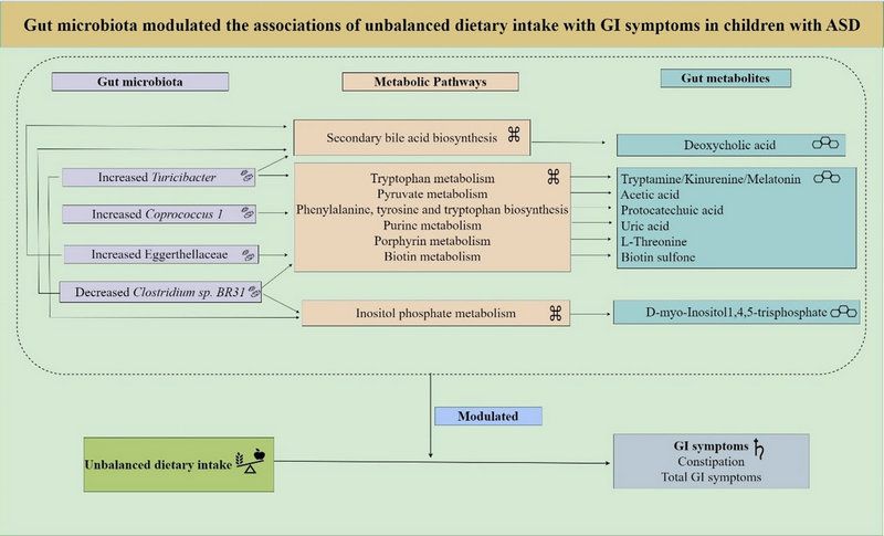 07CF88D0BEB861995472F56CDCA_684255A1_F803 07CF88D0BEB861995472F56CDCA_684255A1_F803