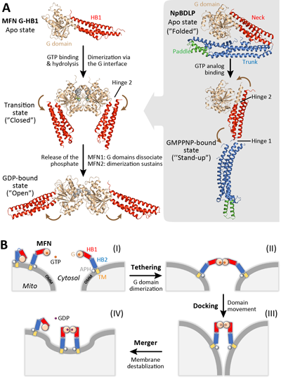 ��ҳ|ng������Ϸ�й����Źٷ���վ