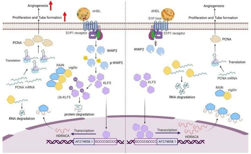 35DC9261073E21579DAB16A862F_8AD3D7A3_E3B0
