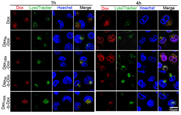 ��ҳ|ng������Ϸ�й����Źٷ���վ