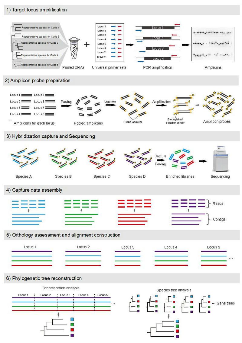 17888B4E9FDDE8BB95336977BED_E1A05107_21020
