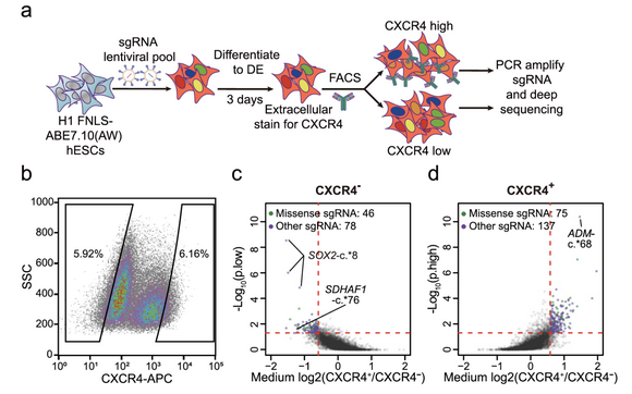 ��ҳ|ng������Ϸ�й����Źٷ���վ